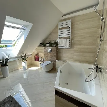 Brzoza 2.0 Villa Piechowice (Karkonosze)